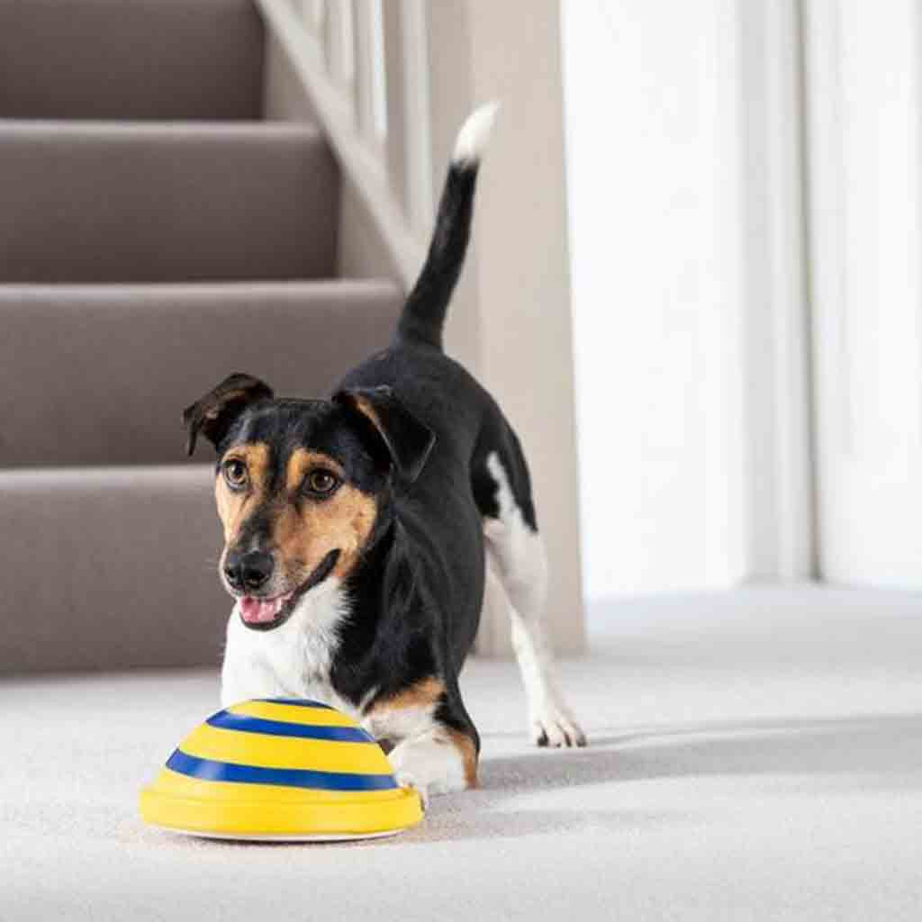 Soft & Safe Indoor Pet Sounding Disc Toy